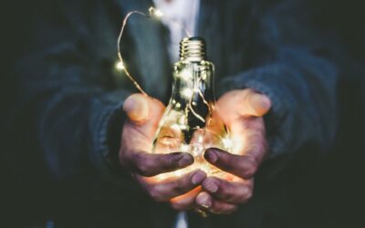 Why Do Companies Hire Consultants?